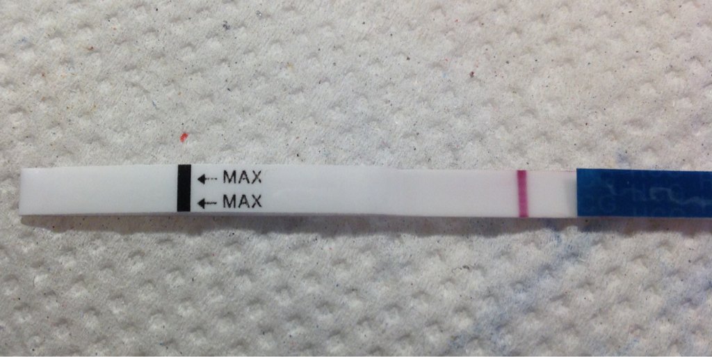 imageuploadedbybv-forum1386583396-050045-jpg.42998