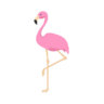 Flamingo85