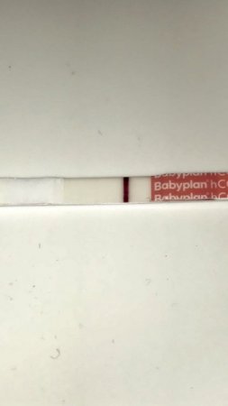 10 DPO.jpeg