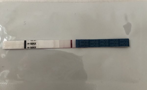 11dpo.jpeg