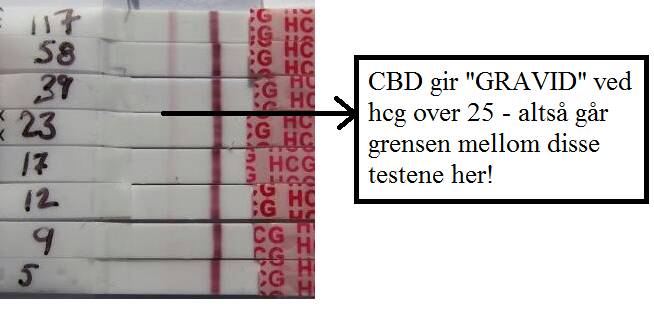 1436180142694.jpg 1436180142694.jpg