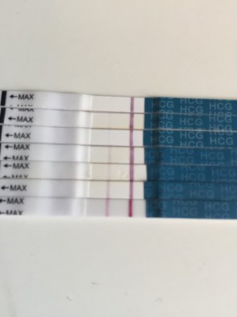 16 DPO.jpg