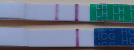 6dpo.png