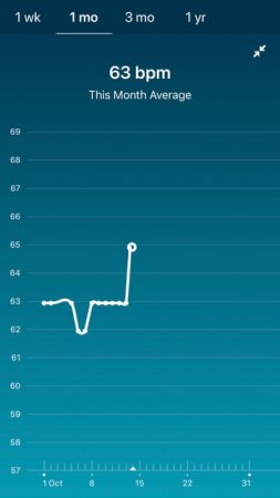 6dpo puls.jpg