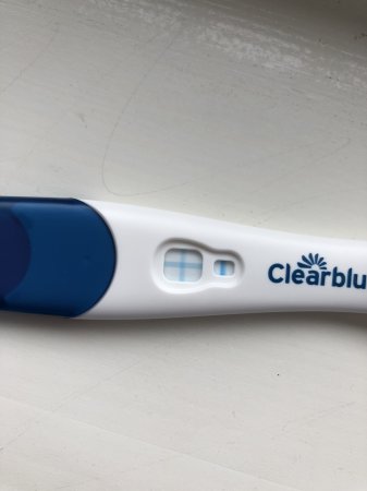 8c4a4e3b-3774-485a-9168-843e899492d7-jpeg.297058