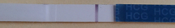 9dpo.png
