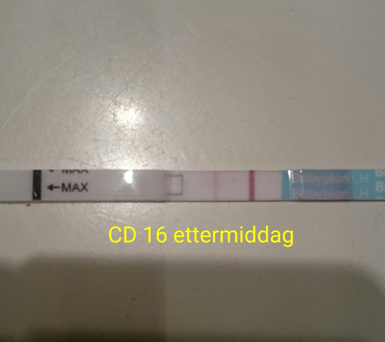 cd16.jpg