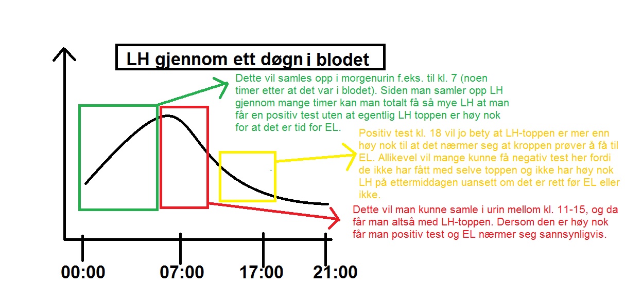 Forklaringsfigur til LH gjennom døgnet.jpg