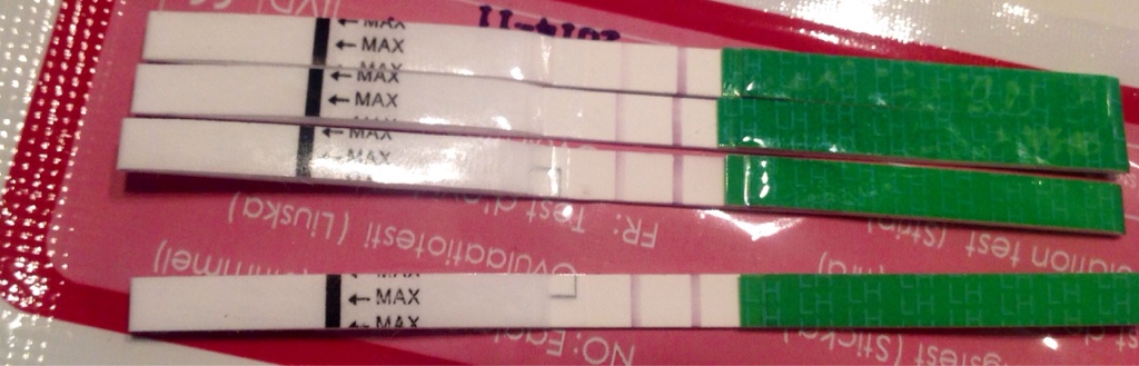 ImageUploadedByBV Forum1384513204.057334.jpg