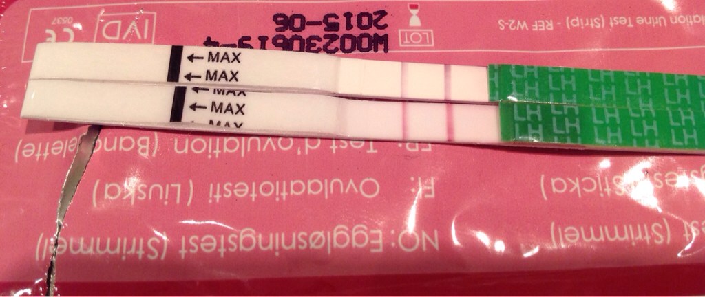 ImageUploadedByBV Forum1385739055.033962.jpg