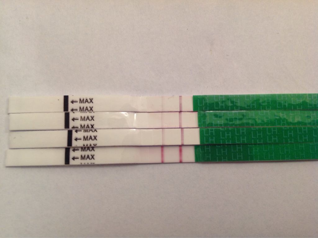 ImageUploadedByBV Forum1386776534.173083.jpg