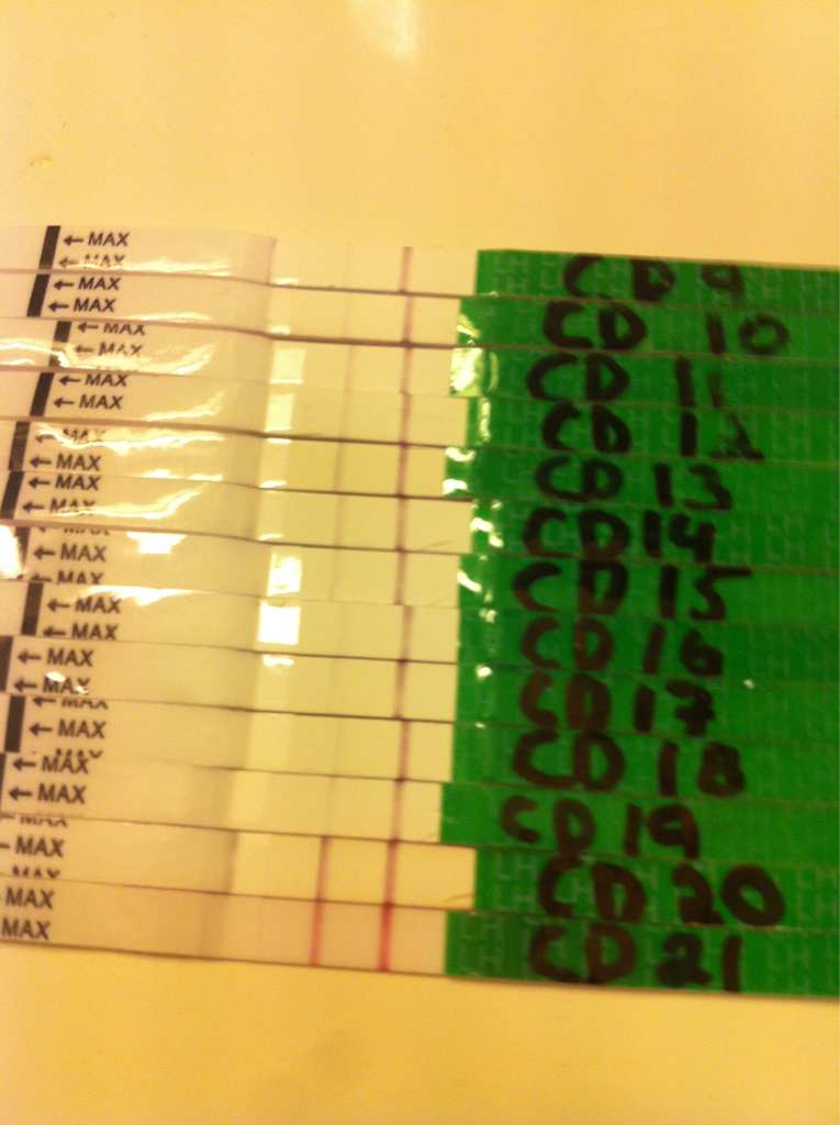 ImageUploadedByBV Forum1393589451.586489.jpg