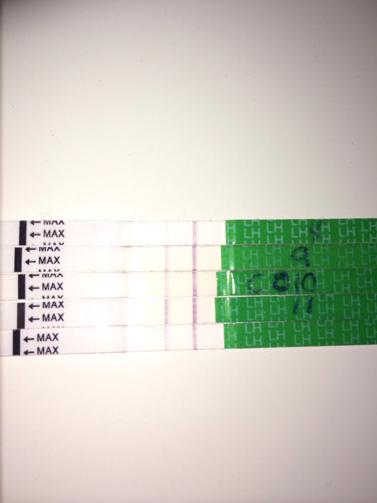 ImageUploadedByBV Forum1393947576.929288.jpg