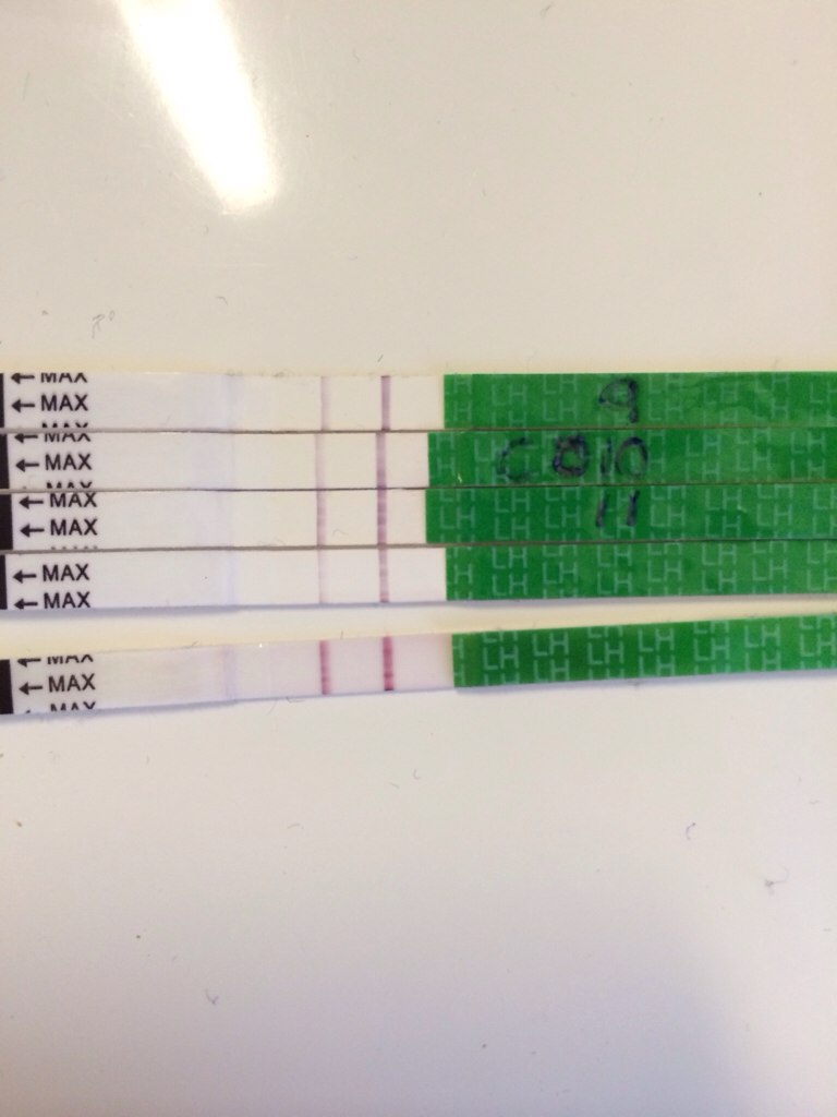 ImageUploadedByBV Forum1394007539.520634.jpg