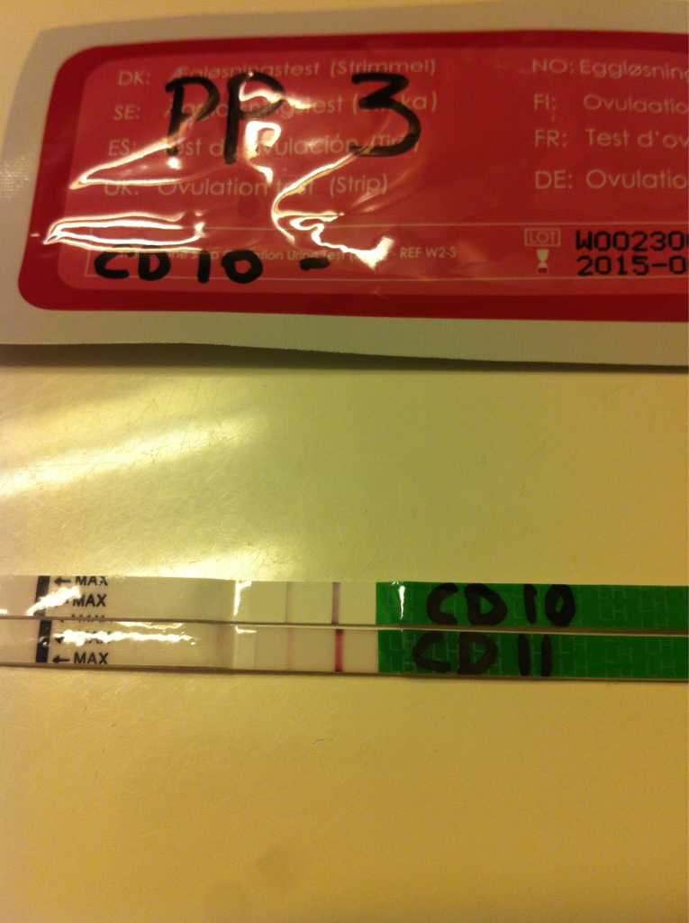 ImageUploadedByBV Forum1394087319.491617.jpg