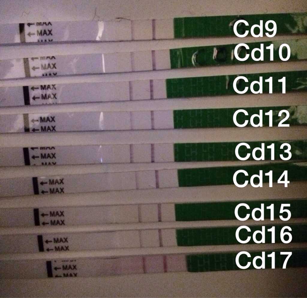 ImageUploadedByBV Forum1394346300.250667.jpg