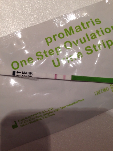 ImageUploadedByBV Forum1394462041.571419.jpg