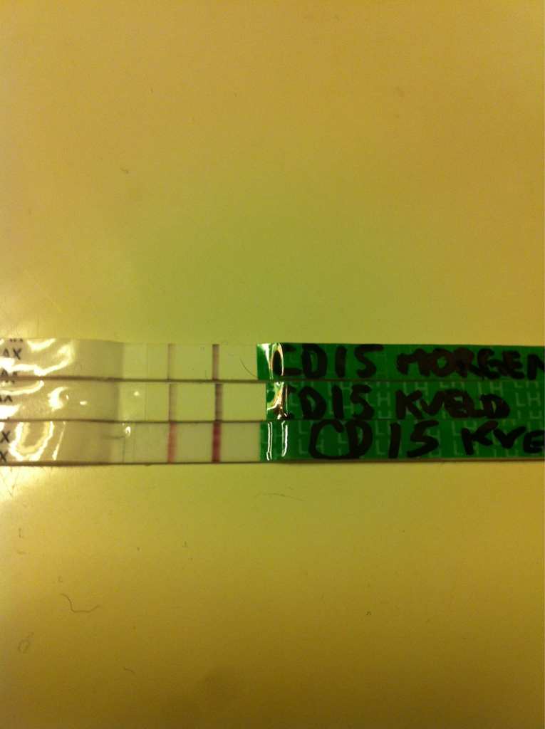 ImageUploadedByBV Forum1394489065.223240.jpg