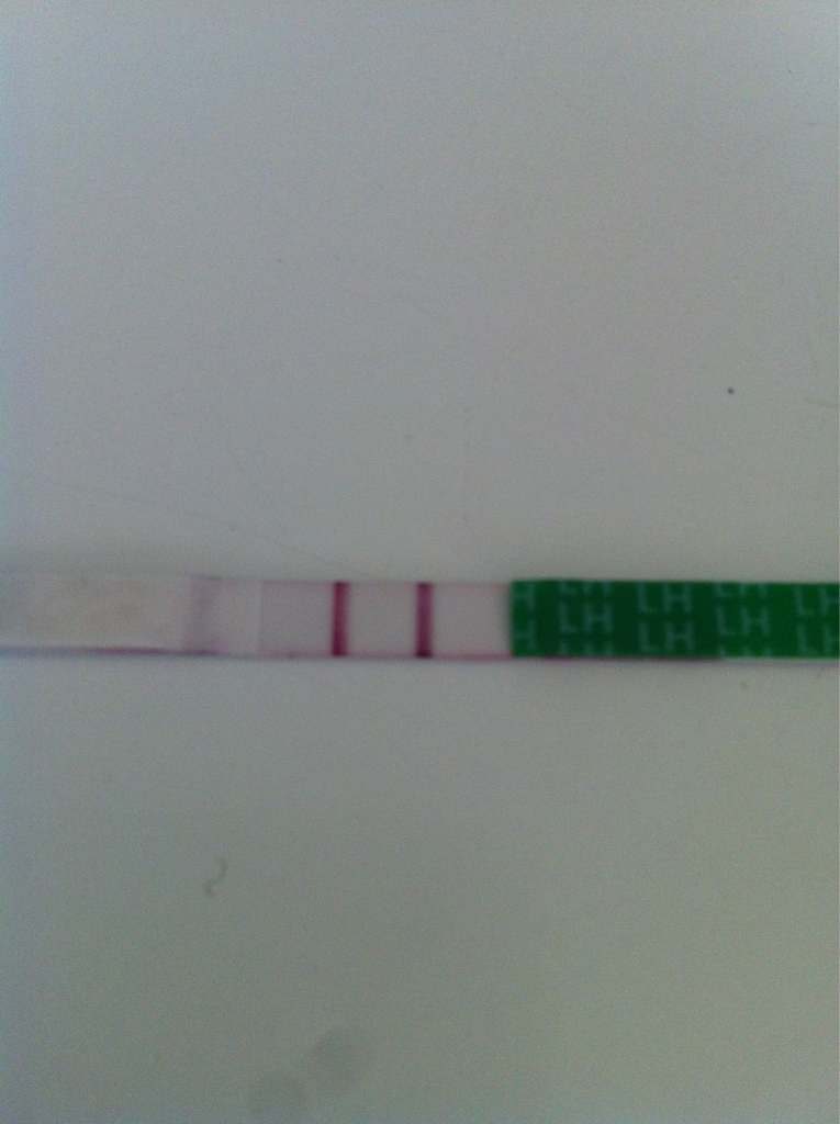 ImageUploadedByBV Forum1394533718.317710.jpg