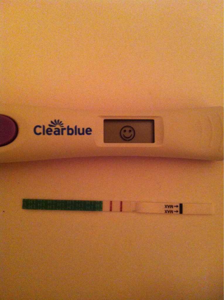 ImageUploadedByBV Forum1394551398.988846.jpg