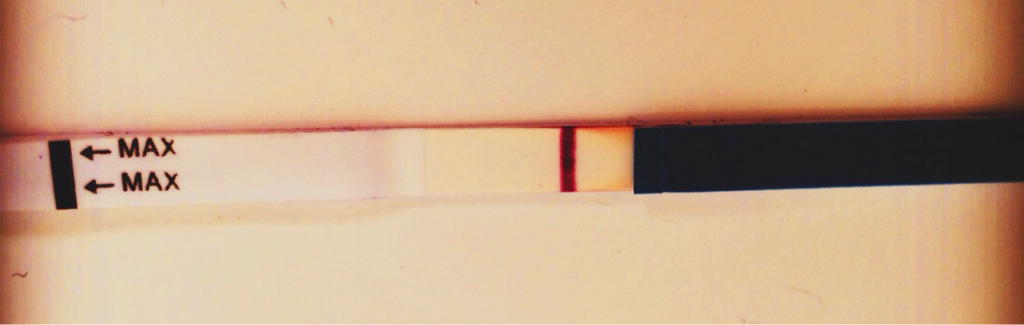 ImageUploadedByBV Forum1395043186.297185.jpg