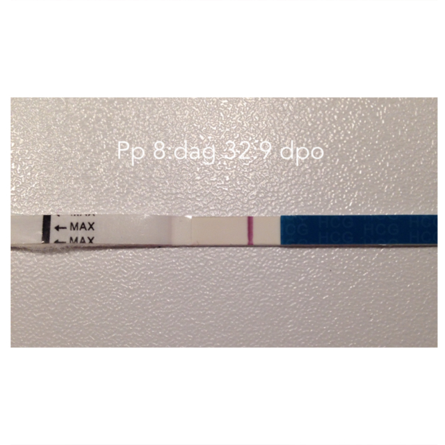 ImageUploadedByBV Forum1395254195.141585.jpg