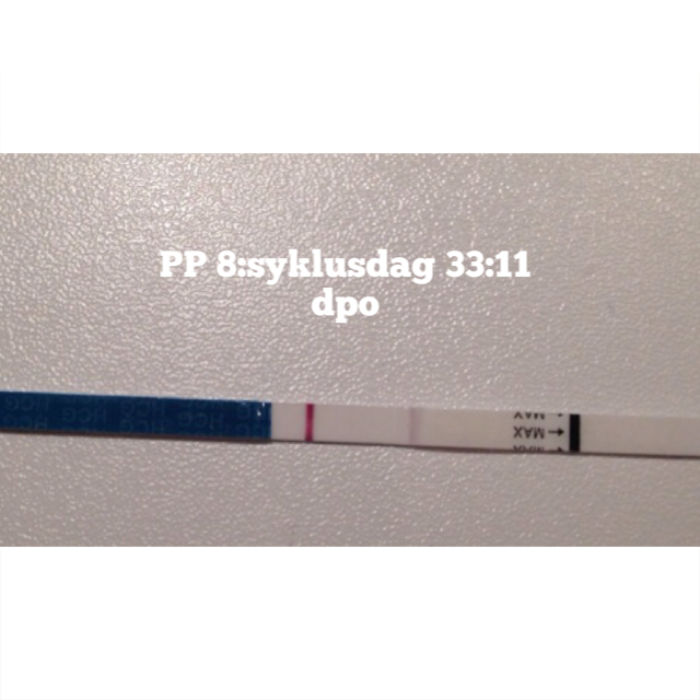 ImageUploadedByBV Forum1395379874.952218.jpg