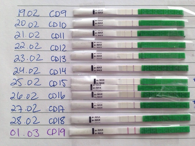 ImageUploadedByBV Forum1395412621.396687.jpg