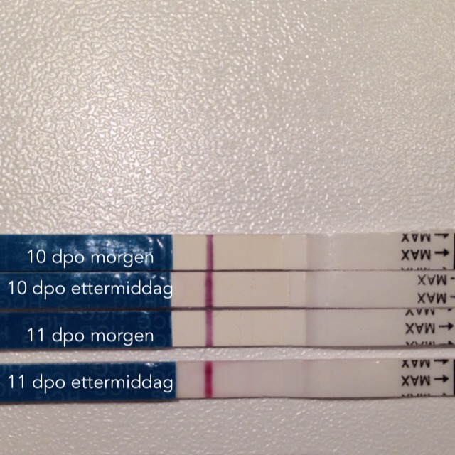 ImageUploadedByBV Forum1395414652.402144.jpg