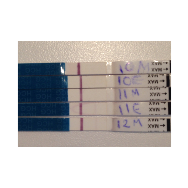 ImageUploadedByBV Forum1395481140.169166.jpg