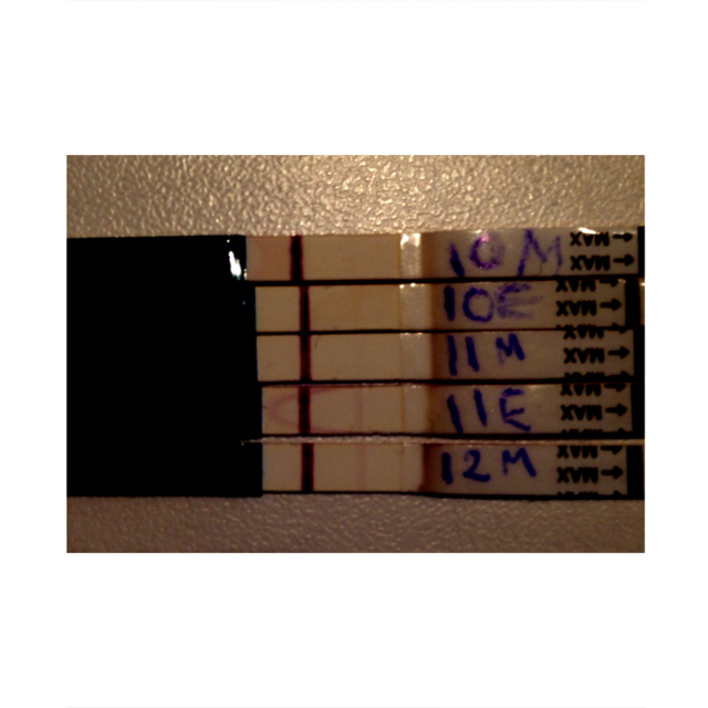 ImageUploadedByBV Forum1395481147.819147.jpg