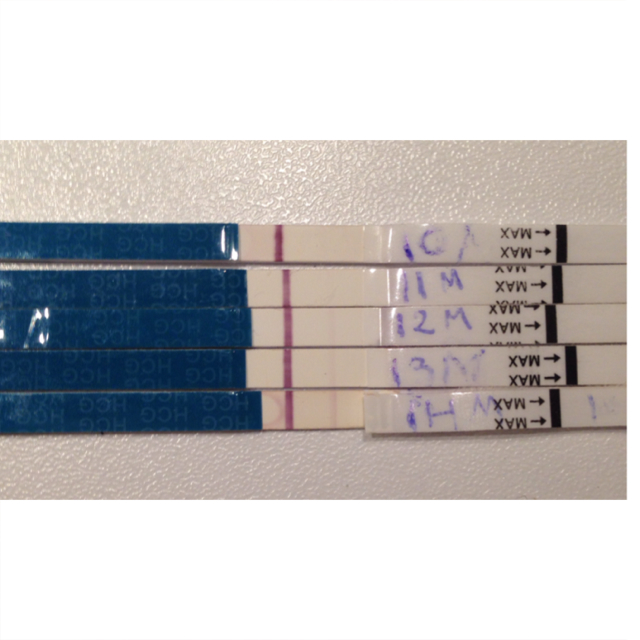 ImageUploadedByBV Forum1395674756.827445.jpg