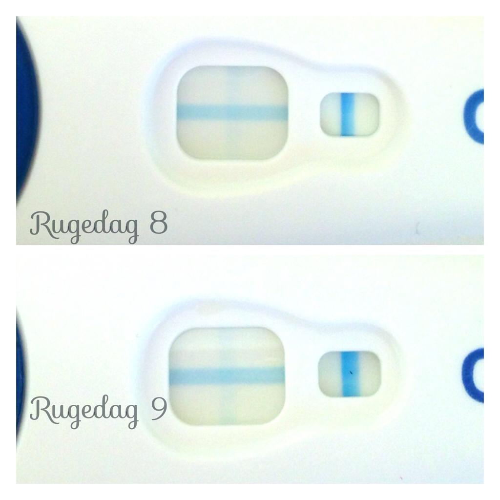 ImageUploadedByBV Forum1396642875.212493.jpg