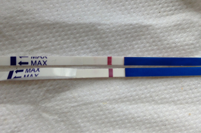 ImageUploadedByBV Forum1397051890.529375.jpg