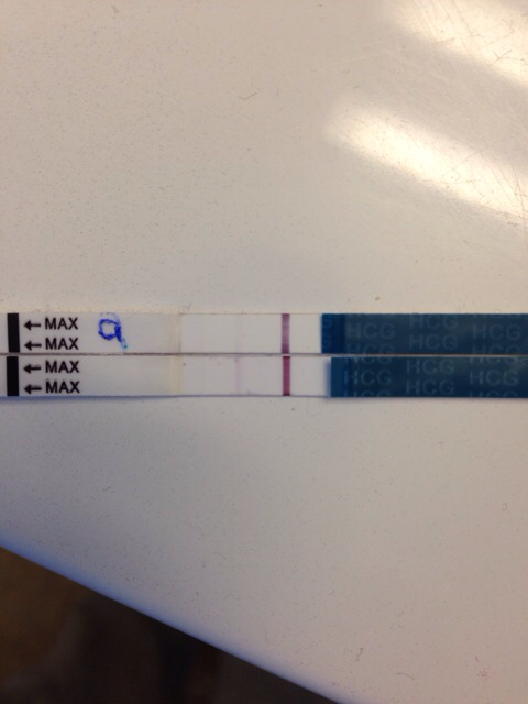 ImageUploadedByBV Forum1401303383.764233.jpg