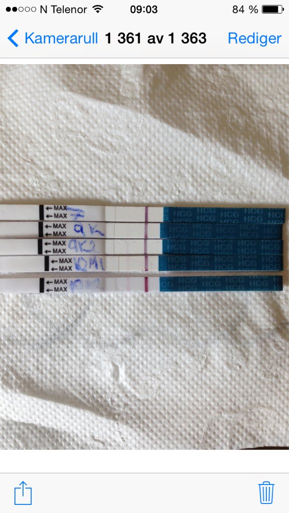 ImageUploadedByBV Forum1401347079.685279.jpg