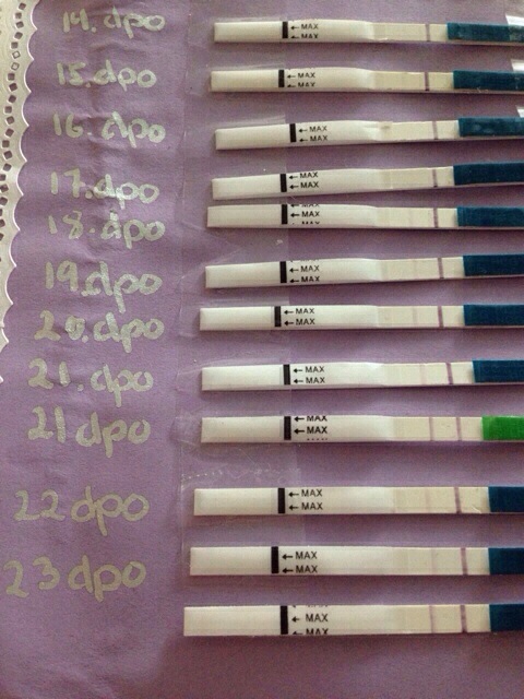 ImageUploadedByBV Forum1401361141.824463.jpg