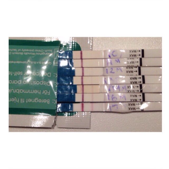 ImageUploadedByBV Forum1401361275.975081.jpg