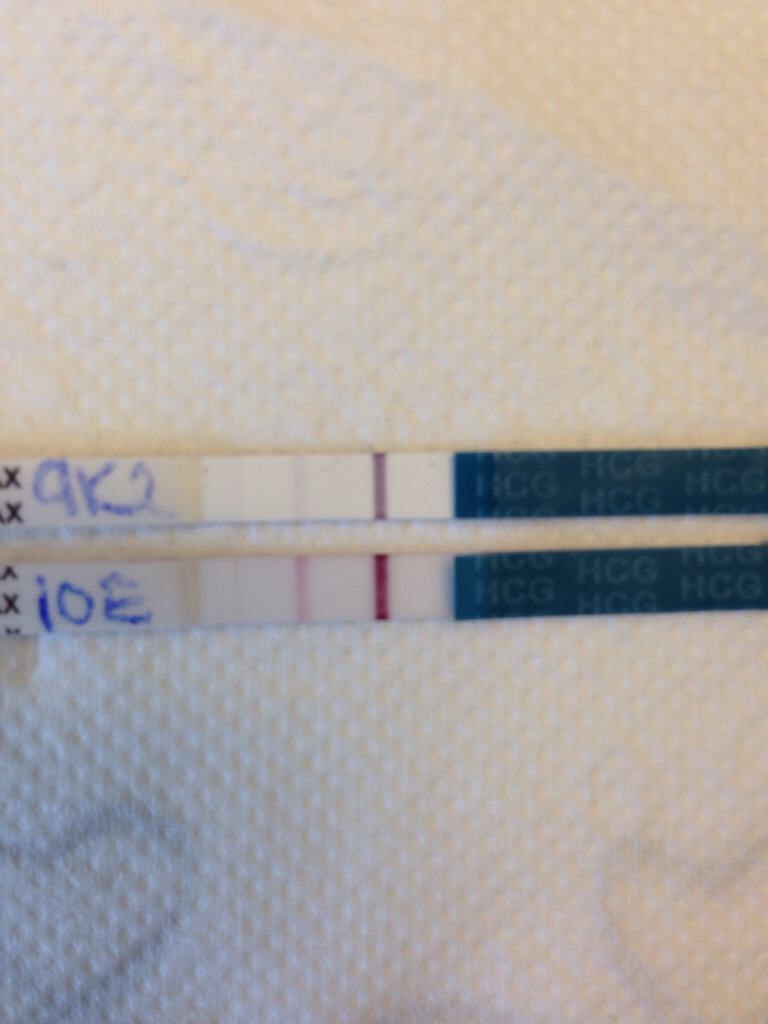 ImageUploadedByBV Forum1401362405.730048.jpg