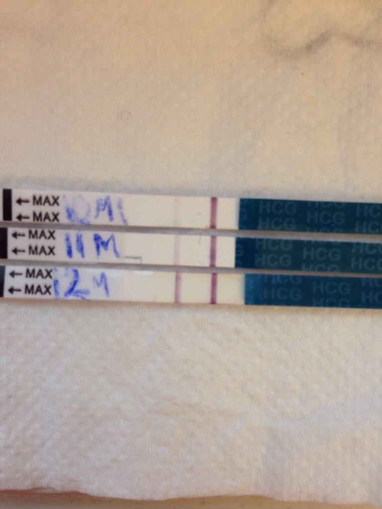 ImageUploadedByBV Forum1401519913.787585.jpg