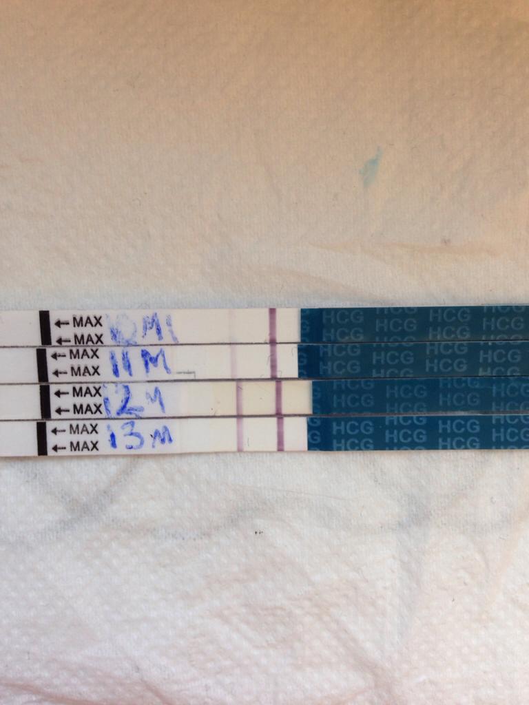 ImageUploadedByBV Forum1401622018.300700.jpg