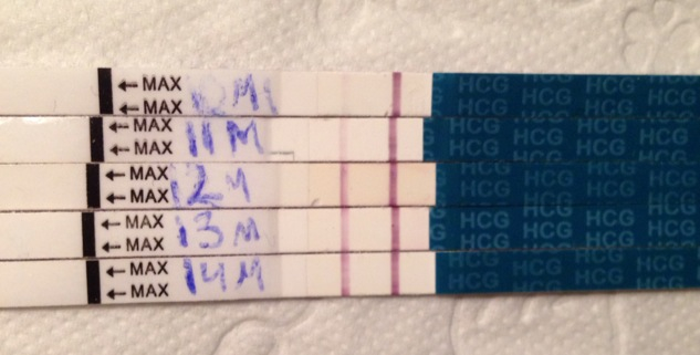 ImageUploadedByBV Forum1401688312.923089.jpg