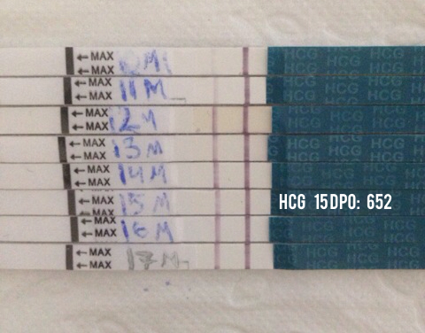 ImageUploadedByBV Forum1401959518.085820.jpg