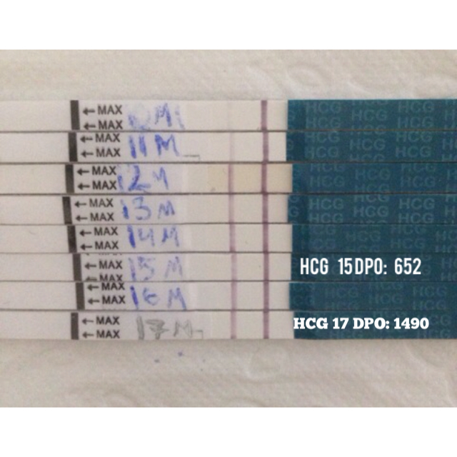 ImageUploadedByBV Forum1402056424.195703.jpg