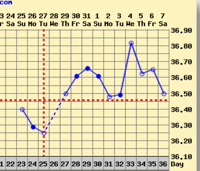 ImageUploadedByBV Forum1402160780.099571.jpg