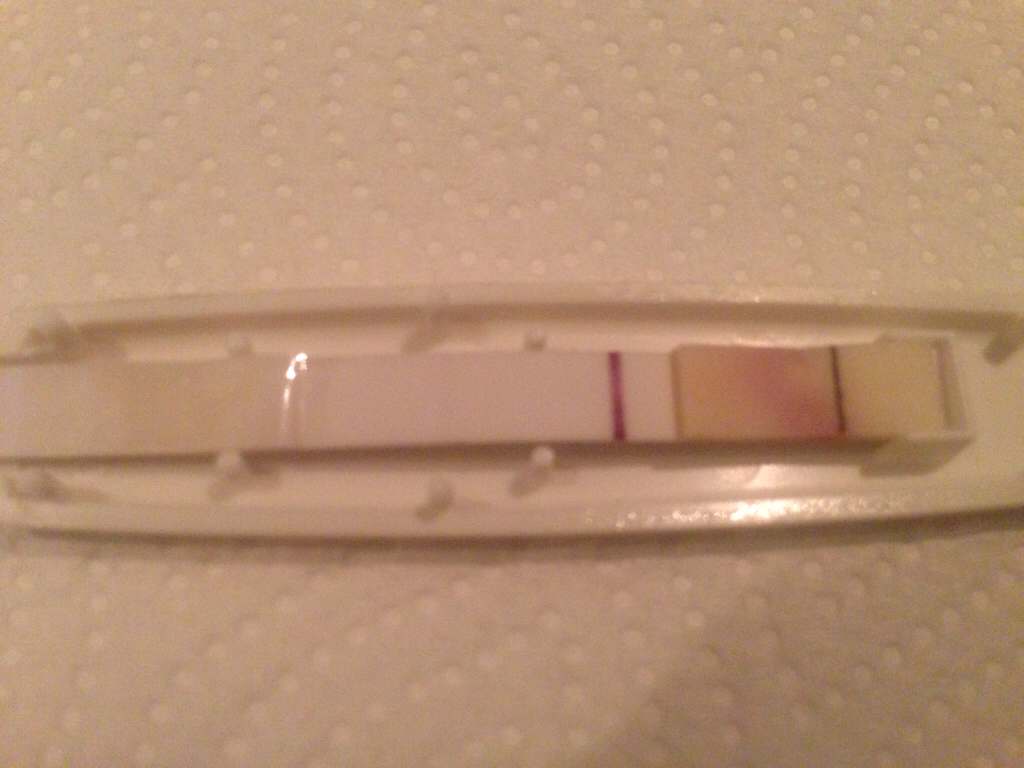 ImageUploadedByBV Forum1407190026.033653.jpg