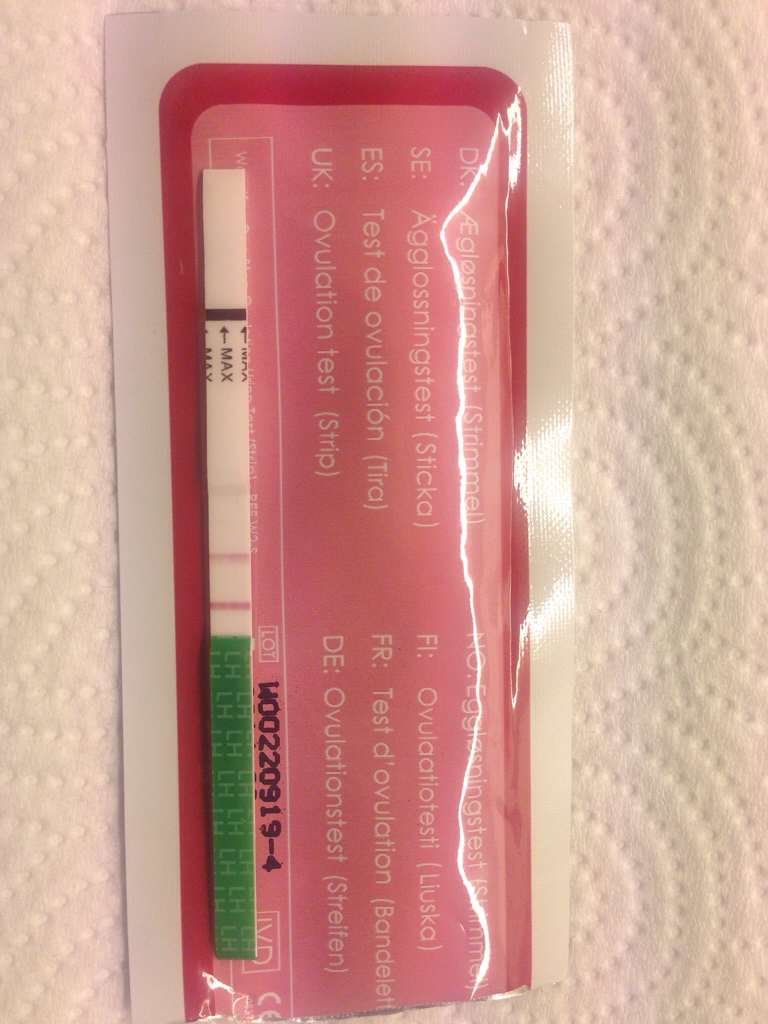 ImageUploadedByBV Forum1407358777.565672.jpg