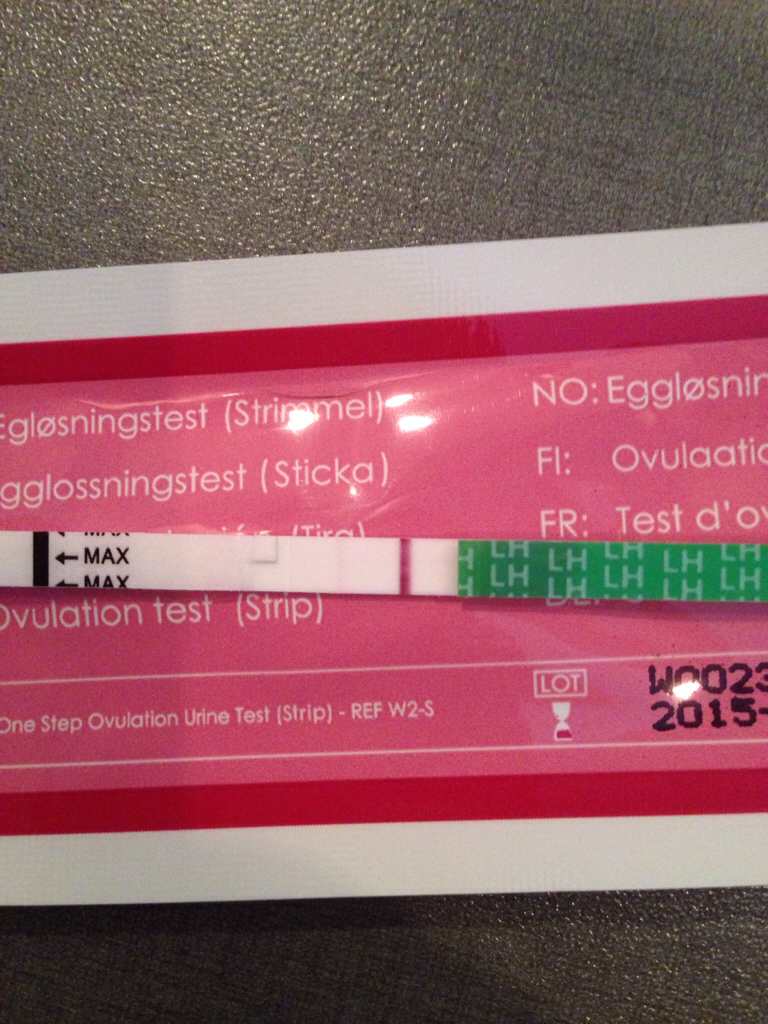 ImageUploadedByBV Forum1408885588.997993.jpg