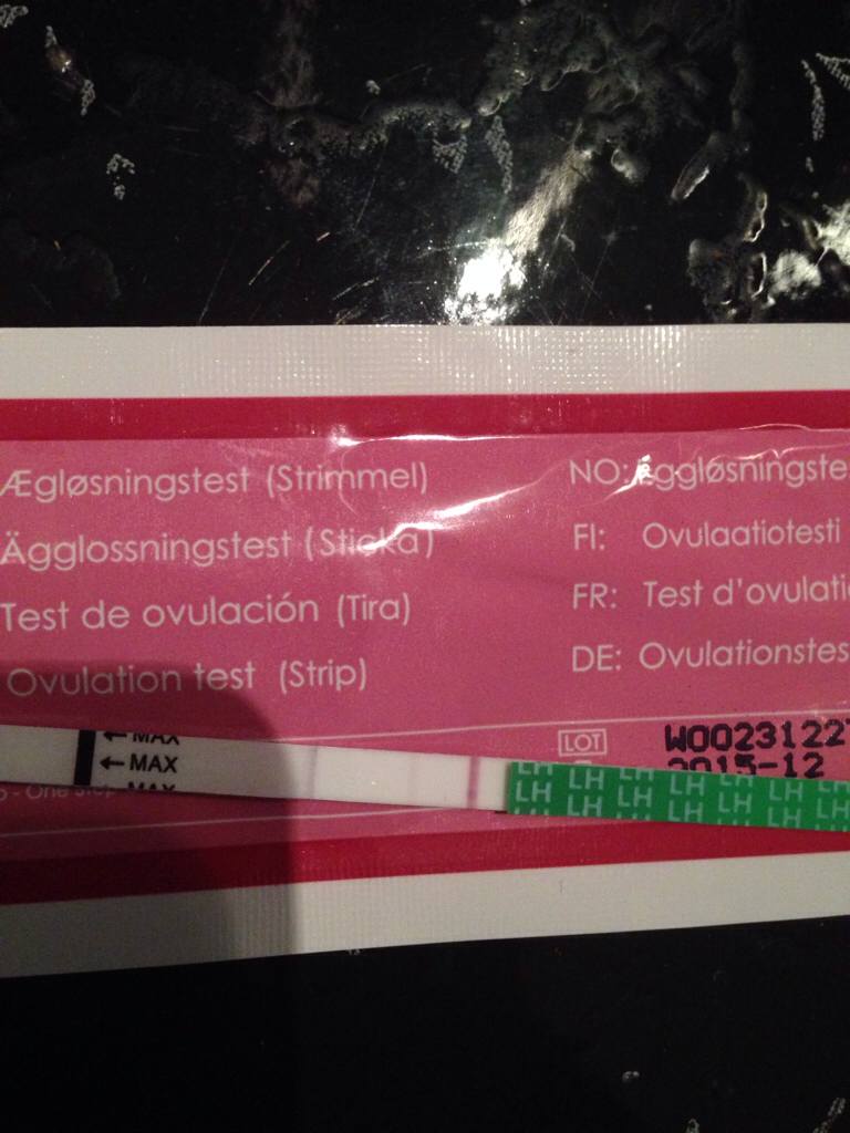 ImageUploadedByBV Forum1408964043.399185.jpg