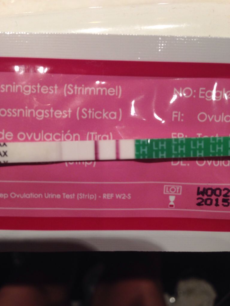 ImageUploadedByBV Forum1409392135.659830.jpg